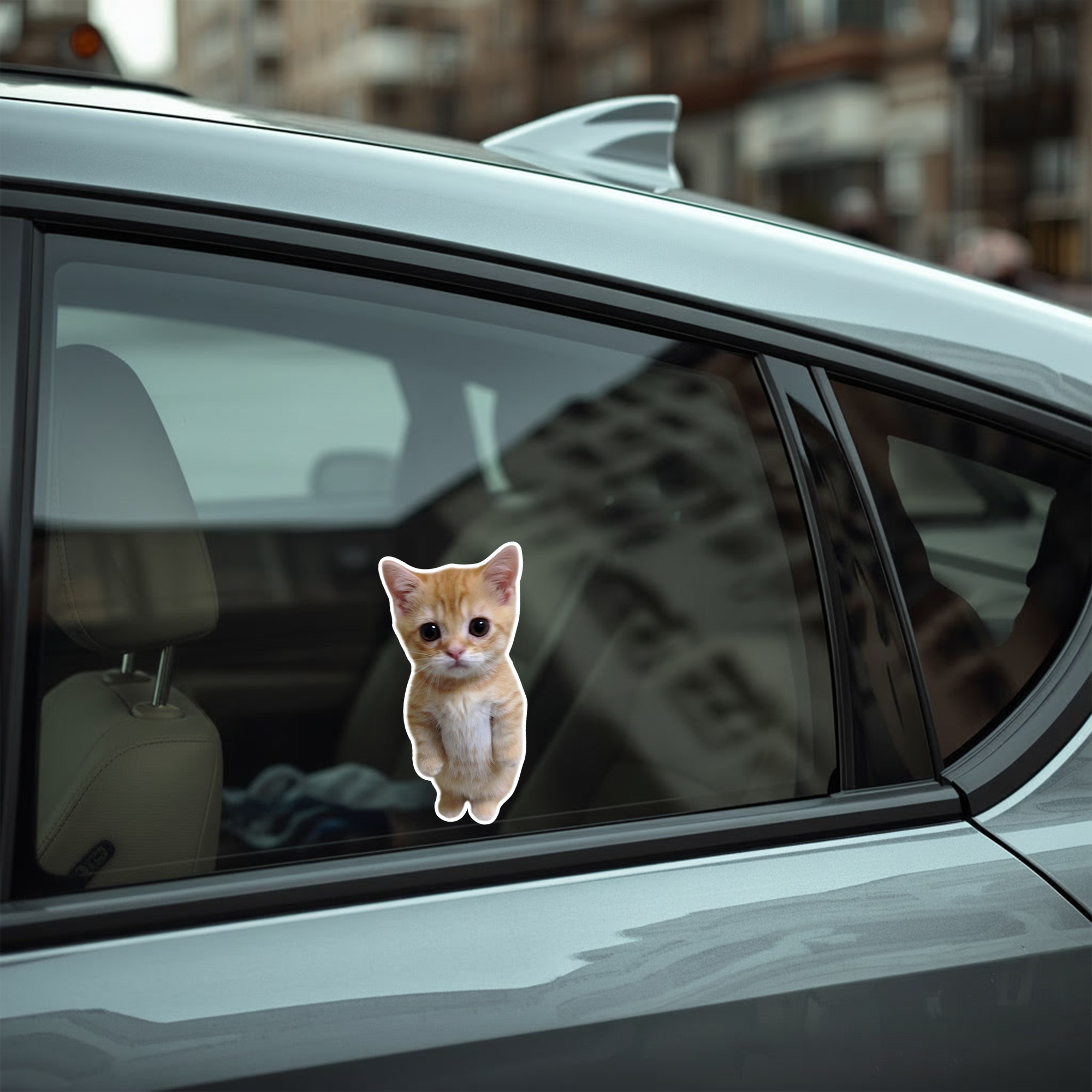Standing Cat